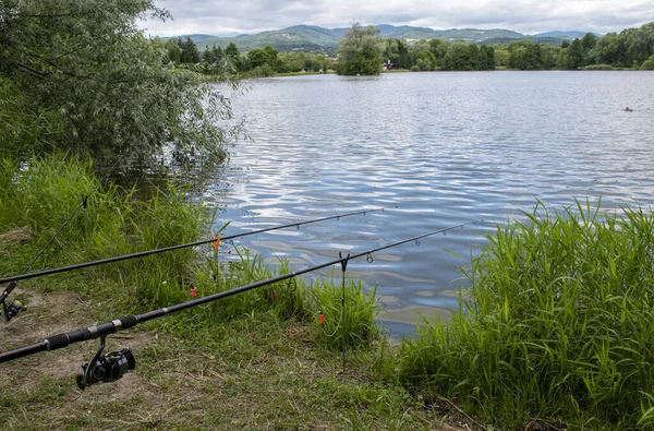 Prachtige Visvijver Bij Badin Banska Bystrica Slowakije Visplaats Visvijver Zomerdag — Stockfoto