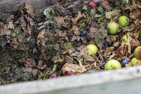Hausgemachte Holzkompostanlage Garten Recycling Von Biologisch Abbaubarem Material Und Hausmüll — Stockfoto