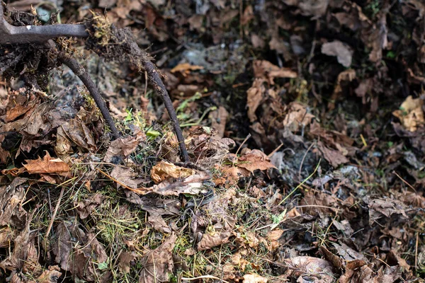 Bak Kompos Kayu Buatan Sendiri Taman Daur Ulang Bahan Organik — Stok Foto
