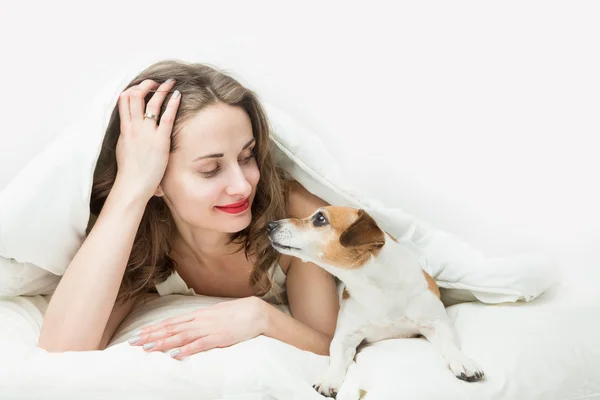 Sleep with a pet in the bed — Stock Photo, Image