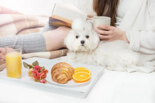 ベッドで朝食. — ストック写真