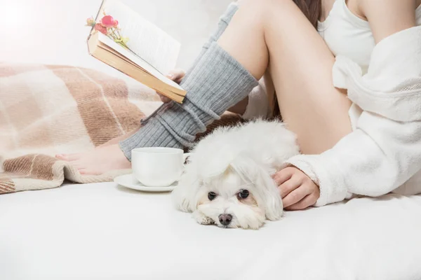 Sleepy sad calm small white dog with girl on the bed — Stock Photo, Image