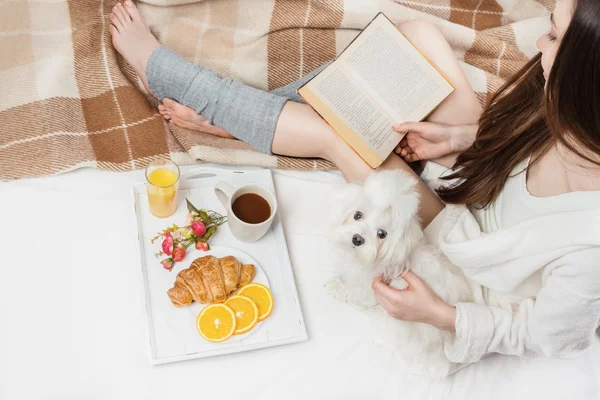 Relaxat fericit acasă timp cu animale de companie . — Fotografie, imagine de stoc