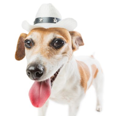 Serin kovboy köpek
