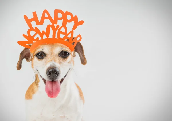 Feliz año nuevo partido tarjeta de perro . —  Fotos de Stock