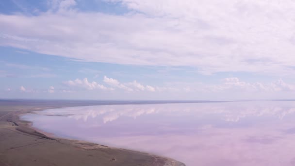 Imagens Vídeo Aéreo Único Lago Lemuriys Rosa Ucrânia Kherson Paraíso — Vídeo de Stock