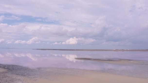 Imágenes Aéreas Vídeo Naturaleza Única Color Rosa Lemuriys Lago Ucrania — Vídeos de Stock