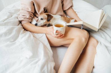 Beyaz rahat bir yatakta sıska bir kadının kucağında küçük bir köpeği kestiriyordu. Bir fincan çay ve kitap tutuyorum. Karantina sırasında evcil hayvanla rahat hafta sonu havasının tadını çıkarıyorum. Pembe kapüşonlu atlayıcı güven atmosferi
