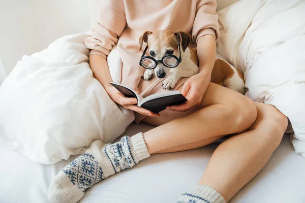 Lesen Gemütlichen Wochenendmorgen Bett Mit Kleinen Entzückenden Hund Schlanke Frauenbeine — Stockfoto