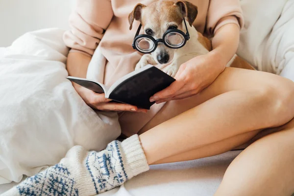 Hora Adorável Ler Cama Mulher Capuz Rosa Segurando Livro Cão — Fotografia de Stock