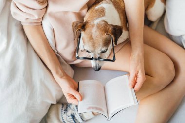 Üst Manzara. Yatakta kitap okuyan kadın ve köpek. Yatakta kitap okuma zamanı. Pembe kapüşonlu bir kadın kucağında kitap ve gözlüklü bir köpek tutuyor. Sıcak yün çoraplar. Uzun seksi ince bacaklar. Hafta sonu keyfi.
