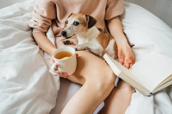 Schöne Abkühlung Bett Wochenende Frau Schlanke Nackte Beine Leeres Notizbuch — Stockfoto