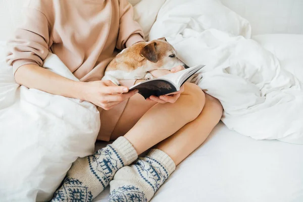 Entspannte Stimmung Lesen Hause Bett Mit Haustier Genießen Sie Ein — Stockfoto