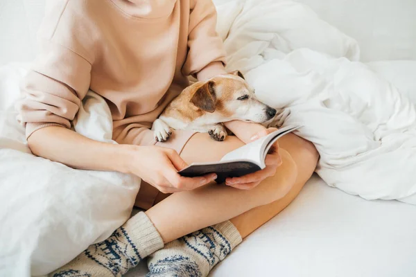 Leyendo Casa Cama Con Mascota Disfrutar Fin Semana Tiempo Relajado —  Fotos de Stock