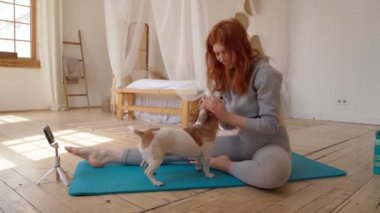 Köpek öpücüğü genç kızıl saçlı kızın dikkatini dağıtırken spor egzersizleri yapıyor. Güneşli yatak odasında gri rahat spor kıyafetleriyle un üzerinde oturuyor. Evcil hayvan videosuyla mutlu aile anları