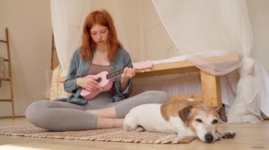 Genç, güzel, kızıl saçlı kız yatak odasında gitar çalıyor. Köpek Jack Russell Terrier ile evde otururken ön planda odak dışı kalıyor. Mavi keten gömlek. Hafta sonu ruh hali yeni yetenekler
