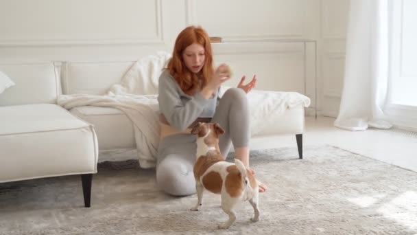 Menina Feliz Adorável Brincando Com Pequeno Cão Rindo Provocando Vai — Vídeo de Stock