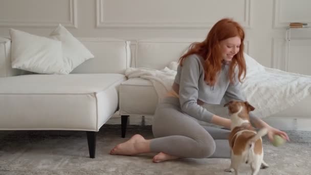 Activo Perro Emocionado Jugando Con Pelota Captura Mosca Hermosa Joven — Vídeos de Stock