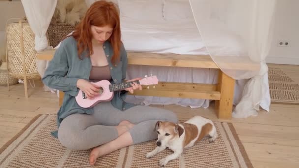 Menggubah Musik Dengan Gitar Ukulele Pink Kecil Dengan Anjing Kecil — Stok Video