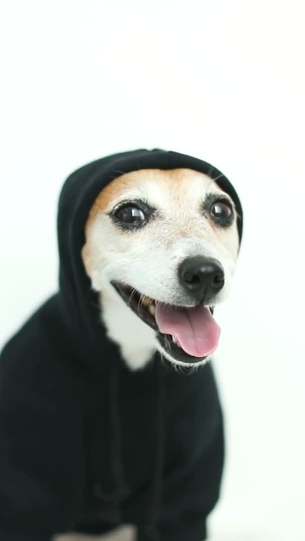2,908 Black hoodie Videos, Royalty-free Stock Black hoodie Footage | Depositphotos 2,908 Black hoodie Videos, Royalty-free Stock Black hoodie Footage | Depositphotos