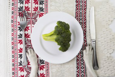 Sebze köpek diyet