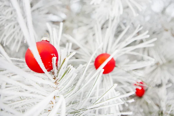 Christmas decorations on a tree in frost — Stock Photo, Image