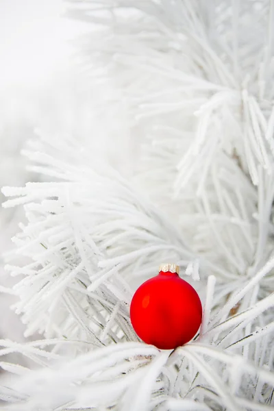 Christmas decorations on a tree in frost — Stock Photo, Image