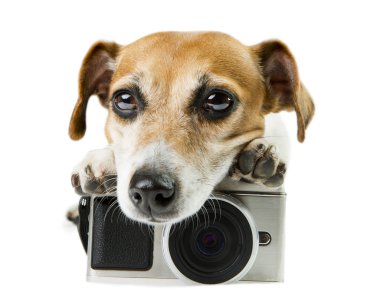 Ağır iş akışı fotoğrafçı
