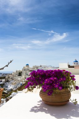 Çiçekli güzel manzara