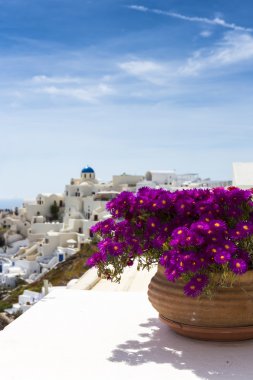 Çiçekli güzel manzara