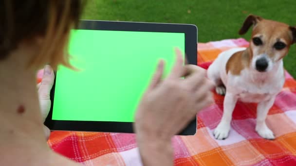 Picnic con un perro al aire libre — Vídeos de Stock