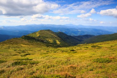 Güneşli yaz manzara Karpat dağ