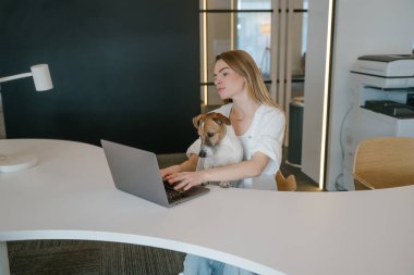 Hayvan işi. Ofiste dizüstü bilgisayarla çalışan beyaz gömlekli sarışın kadın. Sevimli Jack Russell Terrier köpeği kucağında kameraya bakıyor. yatay bileşim