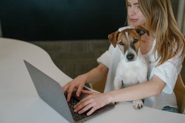 Beyaz gömlekli kadın ofiste dizüstü bilgisayarla masa başında çalışıyor. Sevimli Jack Russell Terrier köpeği kucağında kameraya bakıyor. Çalışan bir ebeveyn. yatay bileşim