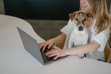 Beyaz tişörtlü, gülümseyen sarışın kadın çalışma alanında dizüstü bilgisayarlı bir masada çalışıyor. Sevimli Jack Russell Terrier köpeği kucağında kameraya bakıyor. yatay bileşim