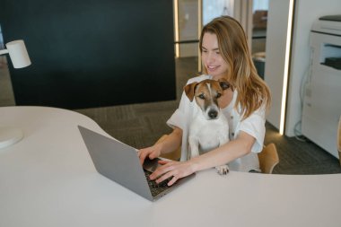 Beyaz tişörtlü genç sarışın kadın çalışma alanında dizüstü bilgisayarı olan bir masada çalışıyor. Sevimli Jack Russell Terrier köpeği kucağında kameraya bakıyor. Çalışan bir ebeveyn. yatay bileşim