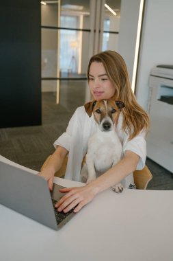 Sarışın kadın ve evcil hayvanı Jack Russell Terrier günlerce dizüstü bilgisayarla birlikte çalışıyorlar. yaratıcı açık alan. Sarışın genç köpek ebeveyn kadın. dikey kompozisyon. Köpek kameraya bakıyor. çevrimiçi evcil hayvan dükkanı destek servisi