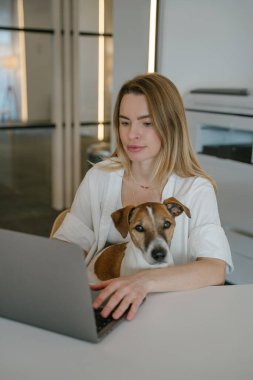 Sarışın kadın ve evcil hayvanı Jack Russell Terrier günlerce dizüstü bilgisayarla birlikte çalışıyorlar. yaratıcı açık alan. Sarışın genç köpek ebeveyn kadın. dikey kompozisyon. Köpek kameraya bakıyor. duygusal destek