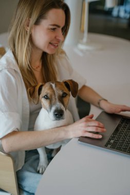 Sarışın kadın ve evcil hayvanı Jack Russell Terrier günlerce dizüstü bilgisayarla birlikte çalışıyorlar. yaratıcı açık alan. Sarışın genç köpek ebeveyn kadın. dikey kompozisyon. Köpek kameraya bakıyor. evcil hayvan dükkanı destek servisi