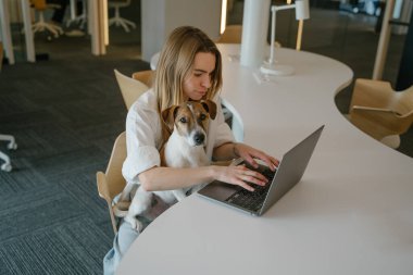 İnternette dizüstü bilgisayarcı kadın ve evcil hayvanı Jack Russell Terrier 'ı yazmakla meşgul. Birlikte çalışıyorlar. Yaratıcı ofis açık alan. Sarışın genç köpek ebeveyn kadın. yatay kompozisyon. yan görünüm profili