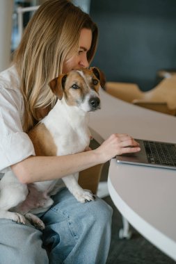 İnternette dizüstü bilgisayarcı kadın ve evcil hayvanı Jack Russell Terrier 'ı yazmakla meşgul. Birlikte çalışıyorlar. Yaratıcı ofis açık alan. Sarışın genç köpek ebeveyn kadın. Dikey kompozisyon. yan görünüm profili