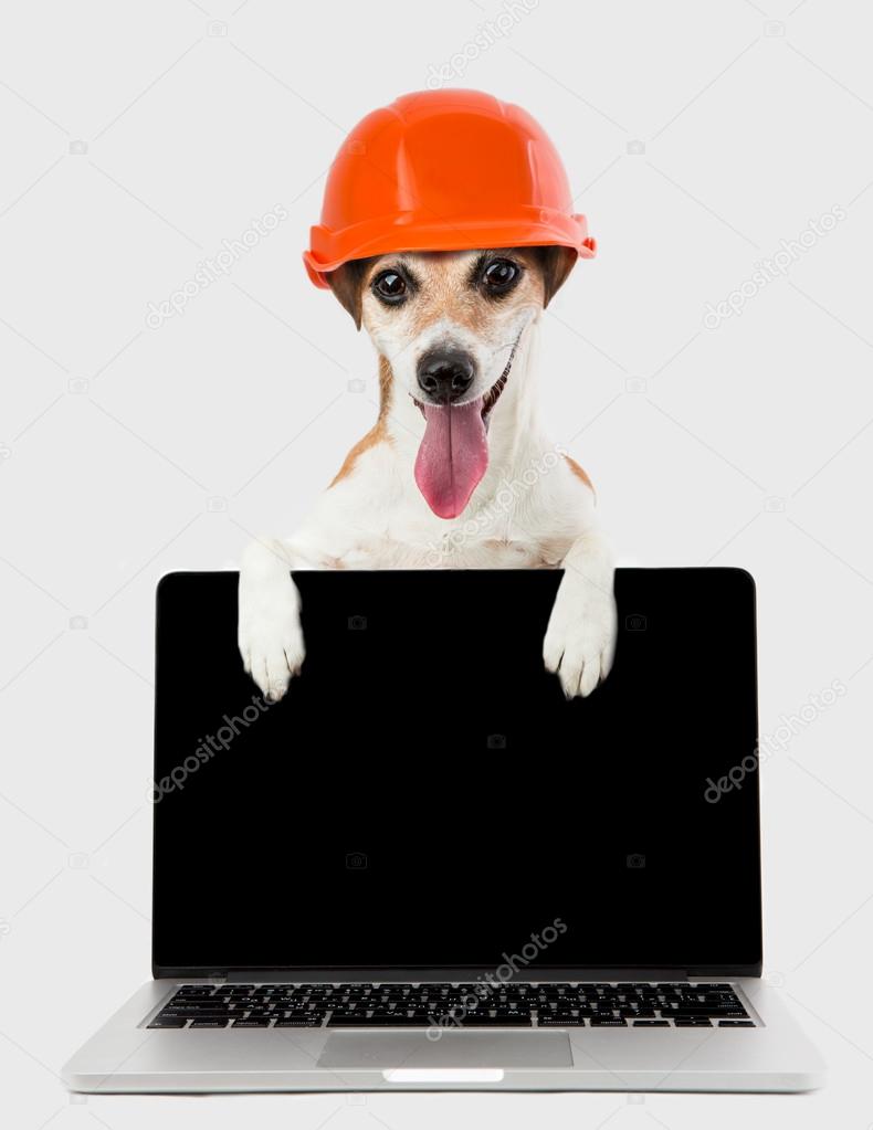 Builder is using laptop