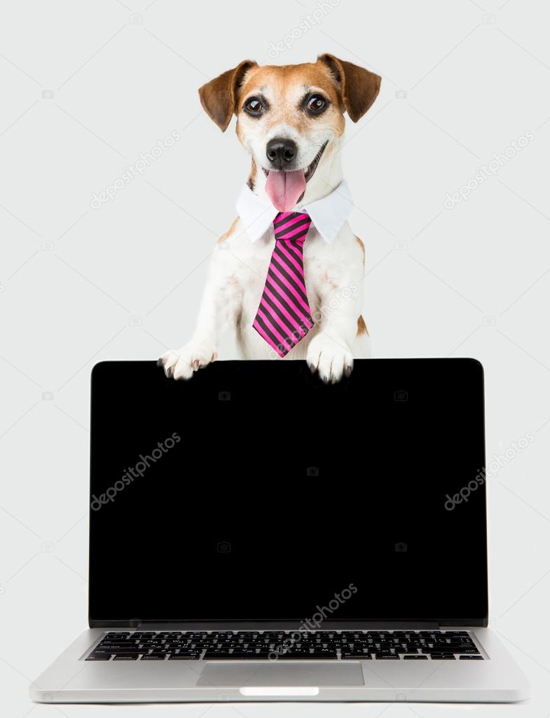 Pet white collar with pc