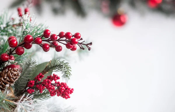 Güzel bir Noel geçmişi. Beyaz arka planda kırmızı süslemeli ladin dalları.