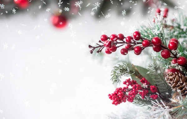 Winter snow-covered background. Christmas branches with red berries on a white background