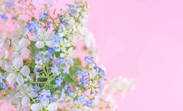 Fleurs Lilas Sur Fond Vert Bannière Printemps — Photo