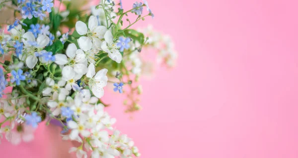 Flores Color Lila Sobre Fondo Verde Banner Primavera — Foto de Stock