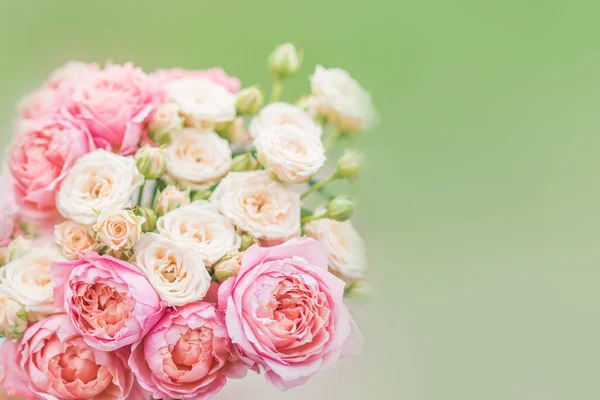 Fond Printemps Avec Des Fleurs Nez Avec Des Roses Buissons — Photo