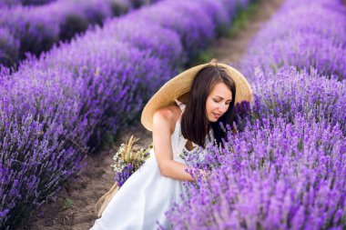 Beyaz elbiseli ve şapkalı güzel bir kadın lavanta topluyor. Yaz fotoğrafları