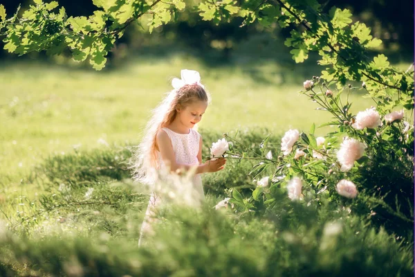 Niña Admira Las Flores Niño Cuida Las Peonías Imágenes de stock libres de derechos